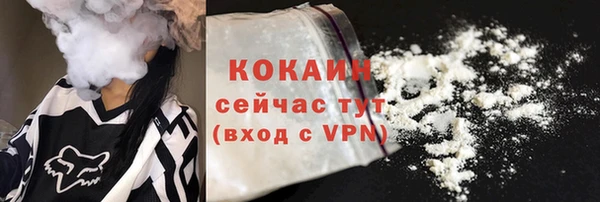 гашик Краснослободск