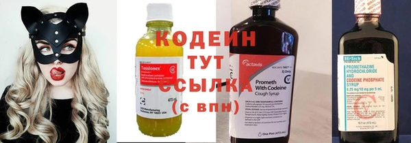 гашик Краснослободск