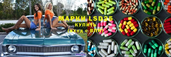 гашик Краснослободск