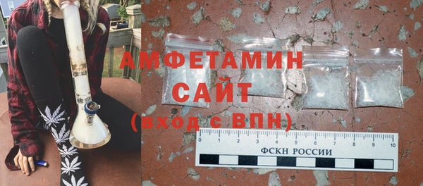 гашик Краснослободск