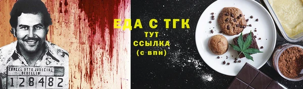 гашик Краснослободск