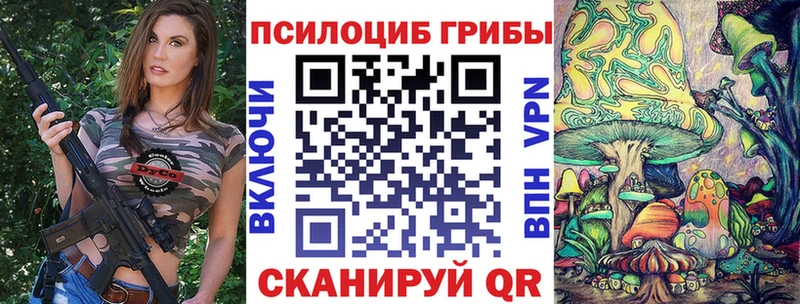 Купить  Усмань  Псилоцибиновые грибы прущие грибы 